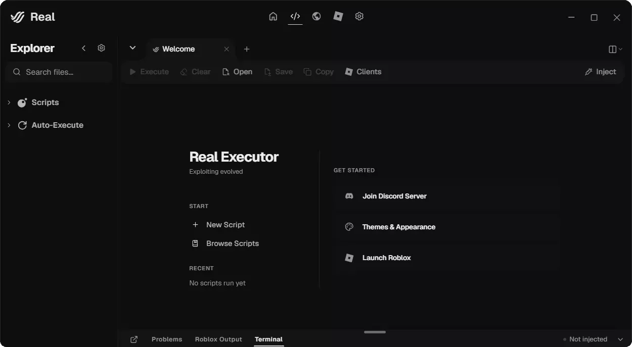 Real Executor скриншот