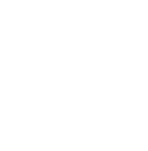 Vega X